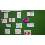 DONACIÓN DE ÓRGANOS